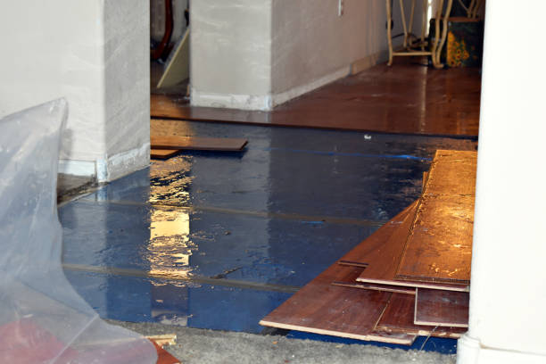 Professional Water Damage technician working in Sycamore, IL